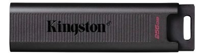 Pendrive De 512 Gb Kingston Datatraveler Max Usb-c With Usb Color Negro