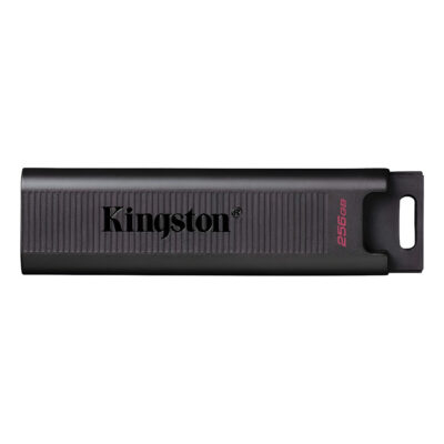 Pendrive De 512 Gb Kingston Datatraveler Max Usb-c With Usb Color Negro Liso